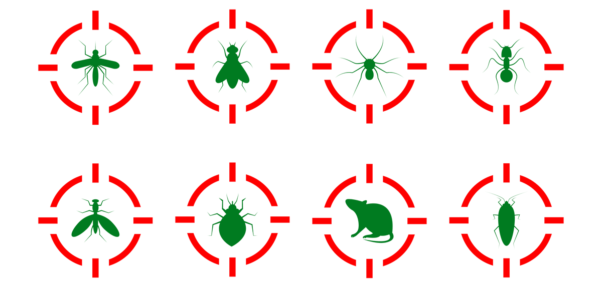 Bug and pest control Victoria Texas